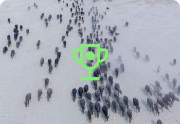 lead generation agency ad campaign management