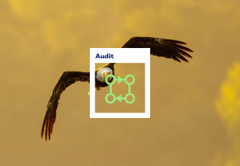 SEO content marketing agency technical audit image