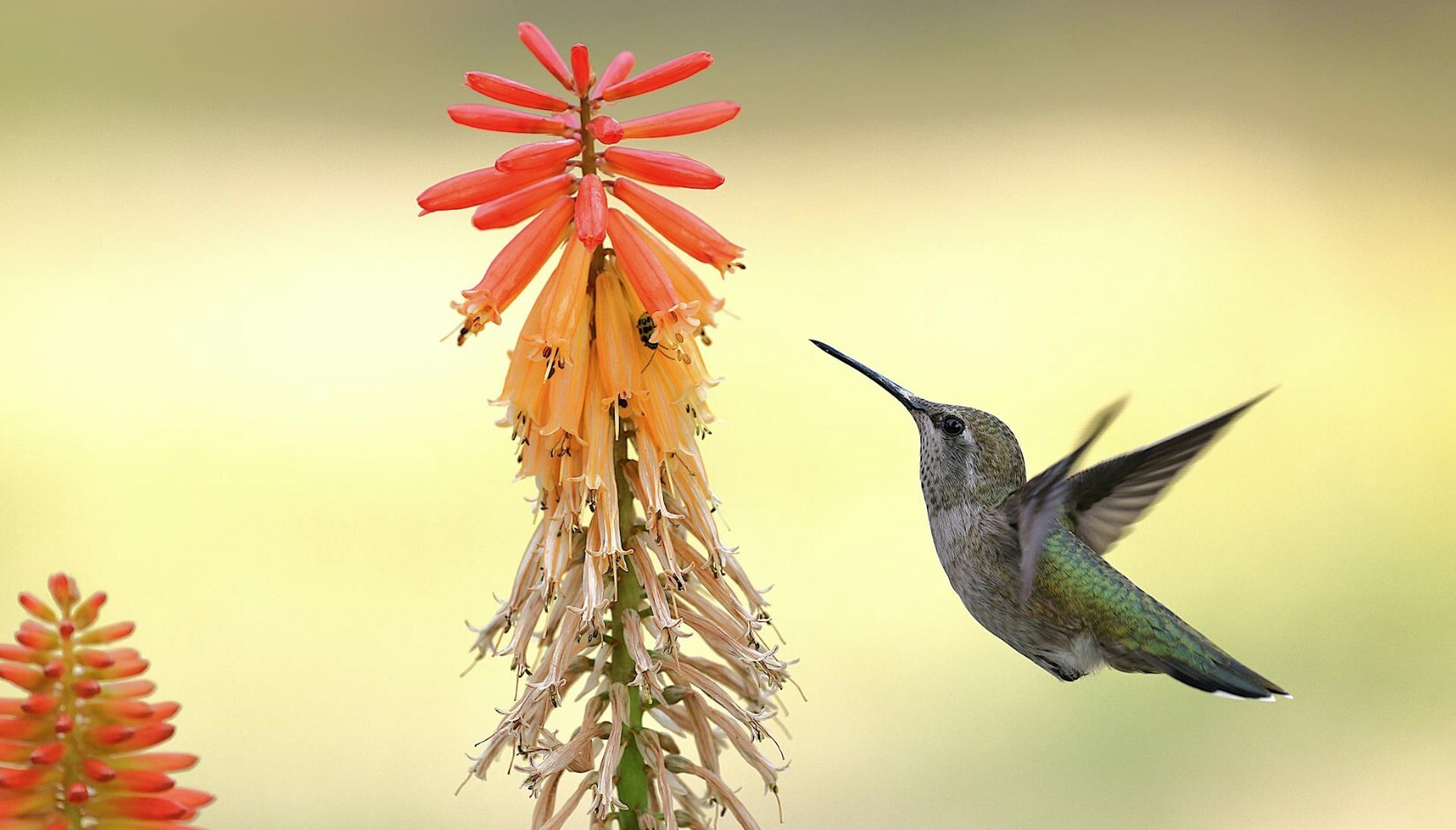 corporate video ROI video marketing agency image