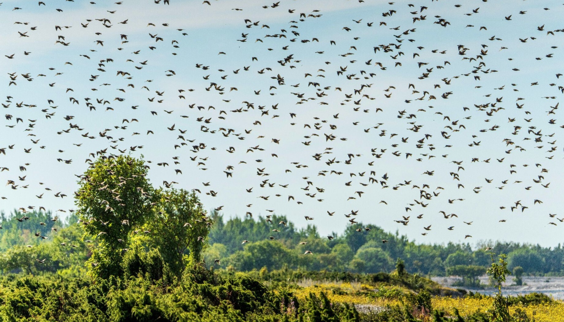 hubspot breeze prospecting agent