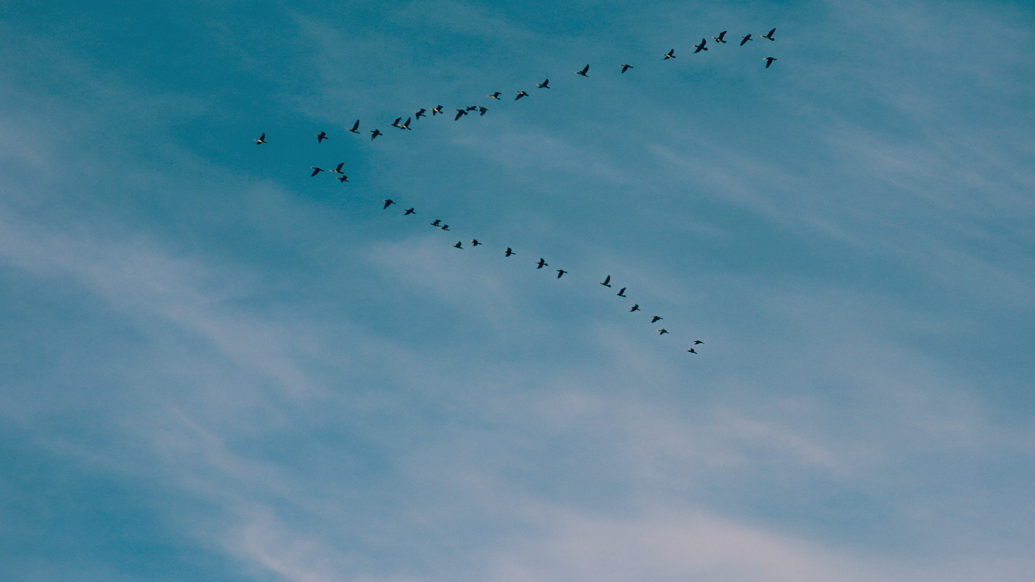 Growth agency vs Marketing agency