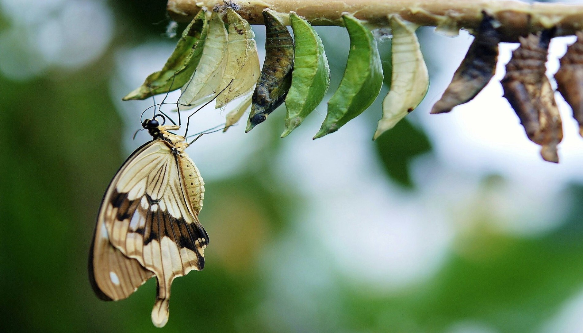 llm optimisation image